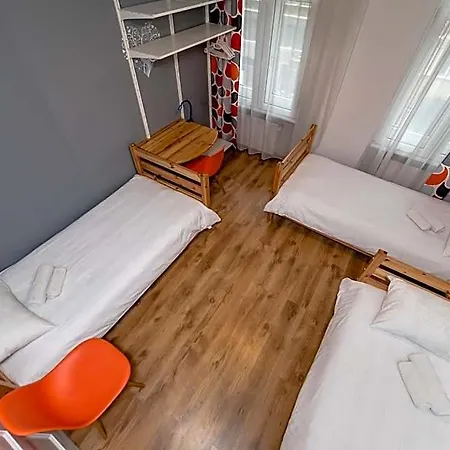 Orange Cat Riga